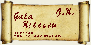 Gala Milešev vizit kartica
